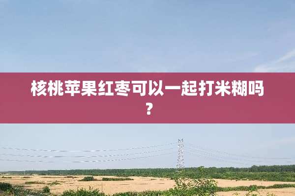 核桃苹果红枣可以一起打米糊吗？