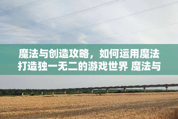 魔法与创造攻略，如何运用魔法打造独一无二的游戏世界 魔法与创造攻略