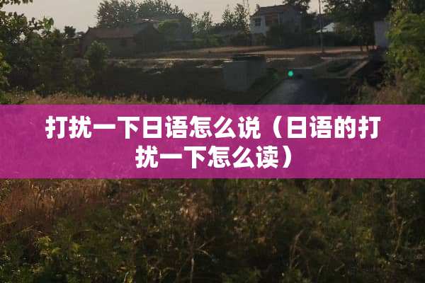 打扰一下日语怎么说（日语的打扰一下怎么读）