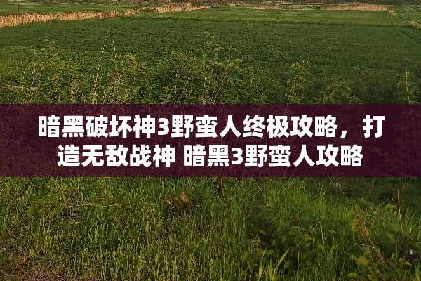 暗黑破坏神3野蛮人终极攻略，打造无敌战神 暗黑3野蛮人攻略