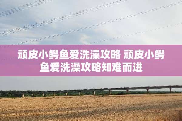 顽皮小鳄鱼爱洗澡攻略 顽皮小鳄鱼爱洗澡攻略知难而进