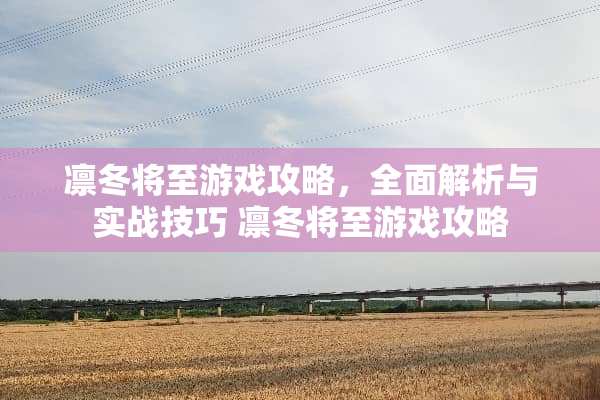 凛冬将至游戏攻略，全面解析与实战技巧 凛冬将至游戏攻略
