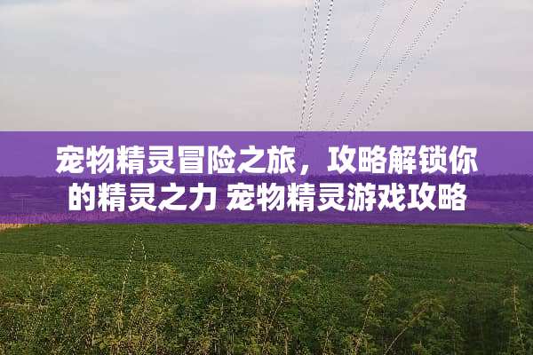 宠物精灵冒险之旅,攻略解锁你的精灵之力 宠物精灵游戏攻略 宠物精灵冒险之旅,攻略解锁你的精灵之力 宠物精灵游戏攻略