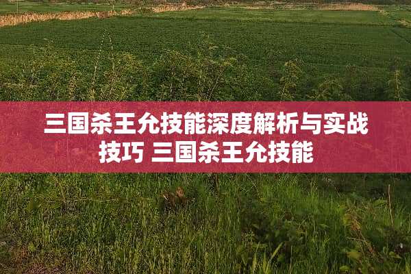 三国杀王允技能深度解析与实战技巧 三国杀王允技能 三国杀王允技能深度解析与实战技巧 三国杀王允技能