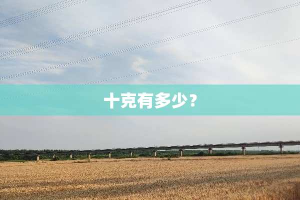 十克有多少？