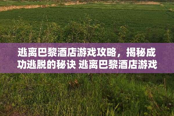逃离巴黎酒店游戏攻略，揭秘成功逃脱的秘诀 逃离巴黎酒店游戏攻略