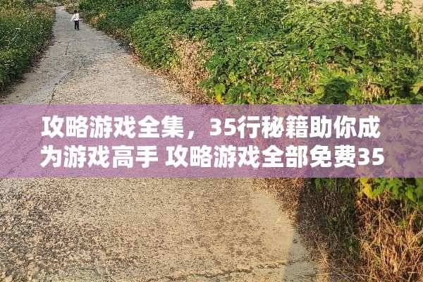 攻略游戏全集，35行秘籍助你成为游戏高手 攻略游戏全部免费35行