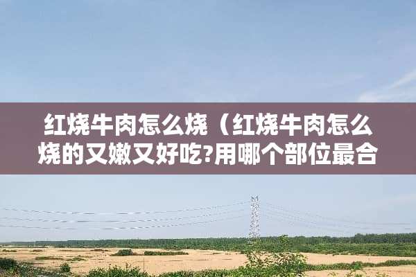 红烧牛肉怎么烧（红烧牛肉怎么烧的又嫩又好吃?用哪个部位最合适）