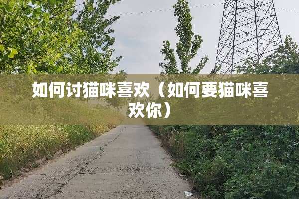 如何讨猫咪喜欢（如何要猫咪喜欢你）