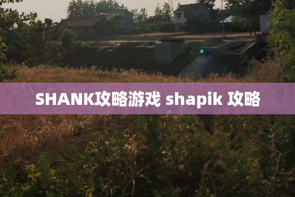 SHANK攻略游戏 shapik 攻略