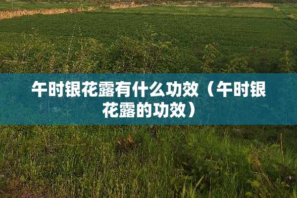 午时银花露有什么功效（午时银花露的功效）