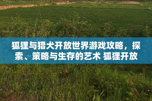 狐狸与猎犬开放世界游戏攻略，探索、策略与生存的艺术 狐狸开放游戏攻略