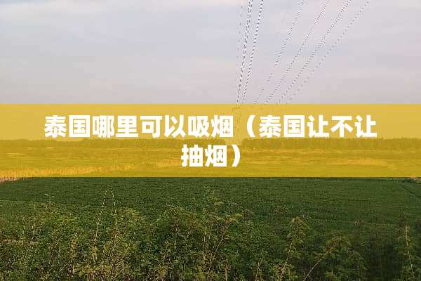 泰国哪里可以吸烟（泰国让不让抽烟）