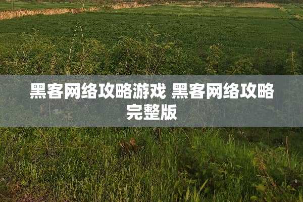 黑客网络攻略游戏 黑客网络攻略完整版