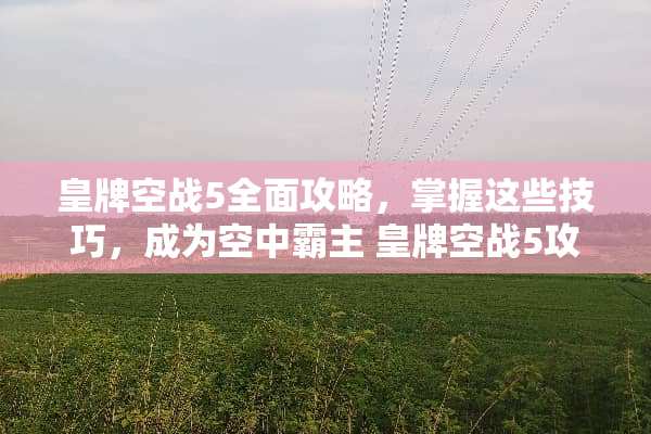 皇牌空战5全面攻略，掌握这些技巧，成为空中霸主 皇牌空战5攻略
