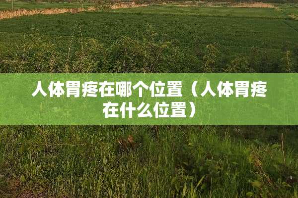 人体胃疼在哪个位置（人体胃疼在什么位置）