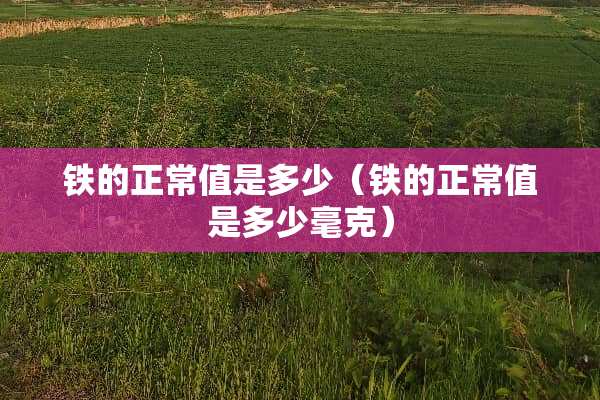 铁的正常值是多少（铁的正常值是多少毫克）