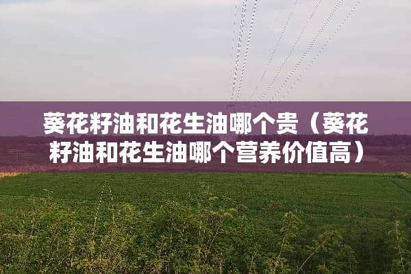 葵花籽油和花生油哪个贵（葵花籽油和花生油哪个营养价值高）