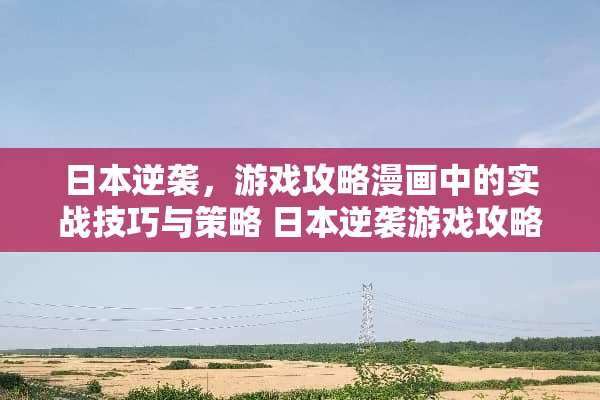 日本逆袭，游戏攻略漫画中的实战技巧与策略 日本逆袭游戏攻略漫画
