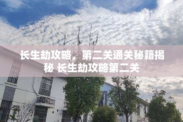 长生劫攻略，第二关通关秘籍揭秘 长生劫攻略第二关