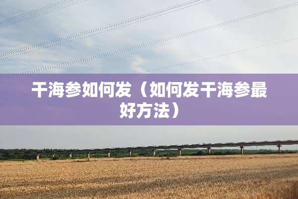干海参如何发（如何发干海参最好方法）