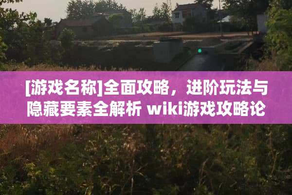 [游戏名称]全面攻略，进阶玩法与隐藏要素全解析 wiki游戏攻略论坛