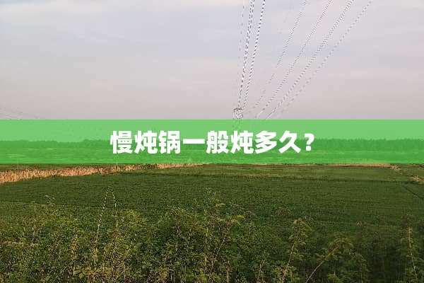 慢炖锅一般炖多久？