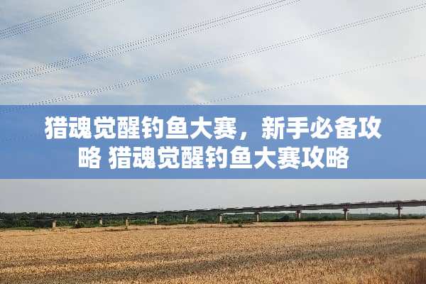 猎魂觉醒钓鱼大赛，新手必备攻略 猎魂觉醒钓鱼大赛攻略