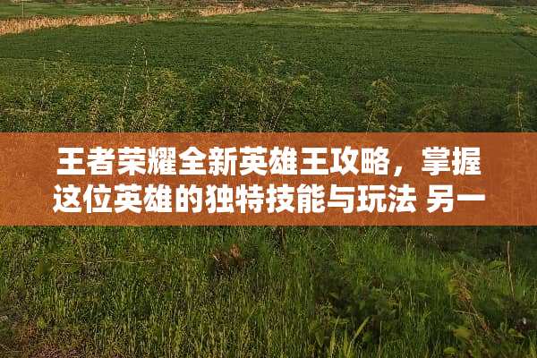 王者荣耀全新英雄王攻略，掌握这位英雄的独特技能与玩法 另一位英雄王攻略