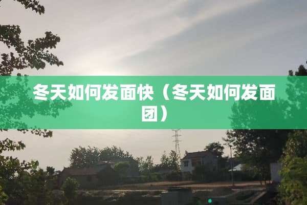 冬天如何发面快(冬天如何发面团) 冬天如何发面快(冬天如何发面团)