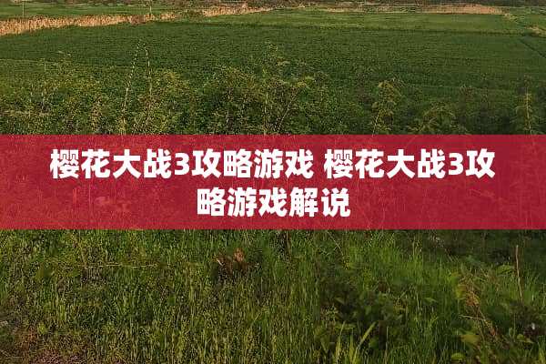 樱花大战3攻略游戏 樱花大战3攻略游戏解说