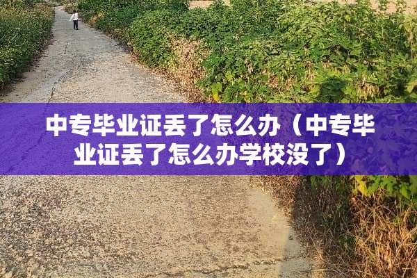 中专***丢了怎么办（中专***丢了怎么办学校没了）