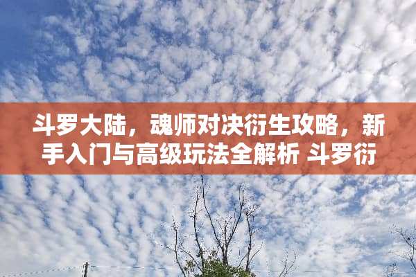 斗罗**,魂师对决衍生攻略,新手入门与高级玩法全解析 斗罗衍生攻略游戏 斗罗**,魂师对决衍生攻略,新手入门与高级玩法全解析 斗罗衍生攻略游戏