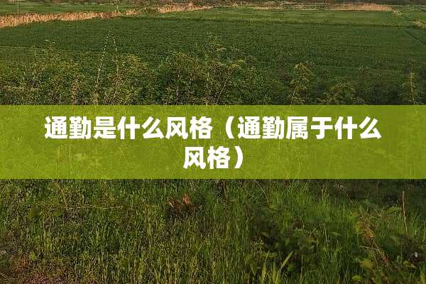 通勤是什么风格（通勤属于什么风格）