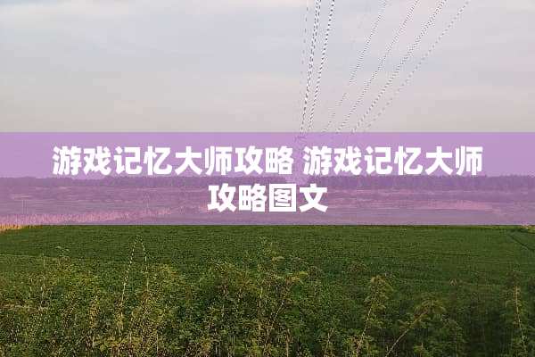 游戏记忆大师攻略 游戏记忆大师攻略图文