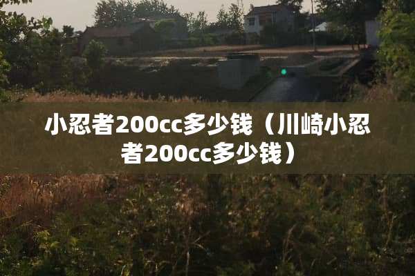 小忍者200cc多少钱（川崎小忍者200cc多少钱）