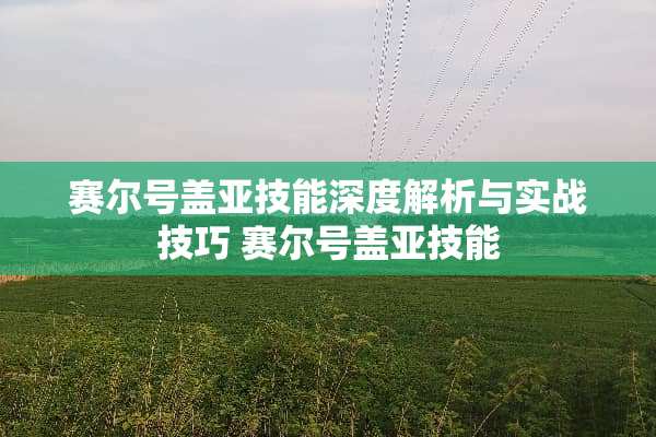 赛尔号盖亚技能深度解析与实战技巧 赛尔号盖亚技能