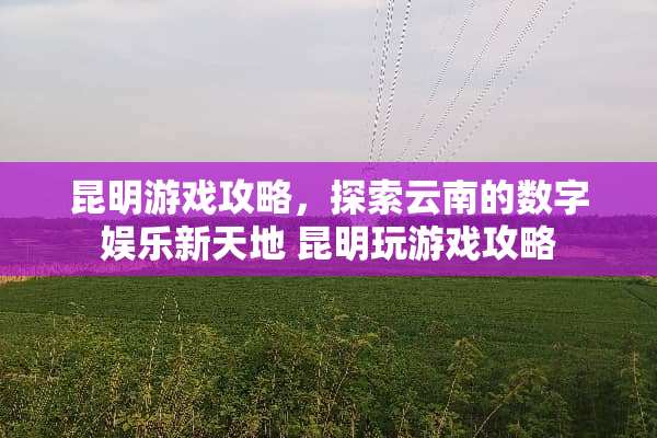 昆明游戏攻略，探索云南的数字娱乐新天地 昆明玩游戏攻略