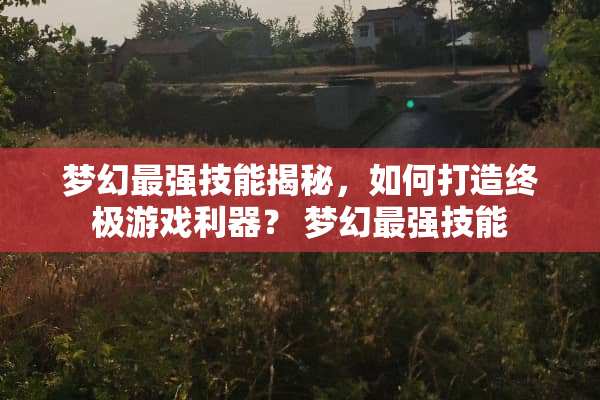 梦幻最强技能揭秘，如何打造终极游戏利器？ 梦幻最强技能