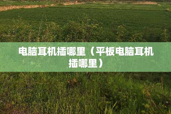 电脑耳机插哪里(平板电脑耳机插哪里) 电脑耳机插哪里(平板电脑耳机插哪里)