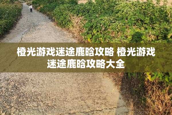 橙光游戏迷途鹿晗攻略 橙光游戏迷途鹿晗攻略大全 橙光游戏迷途鹿晗攻略 橙光游戏迷途鹿晗攻略大全