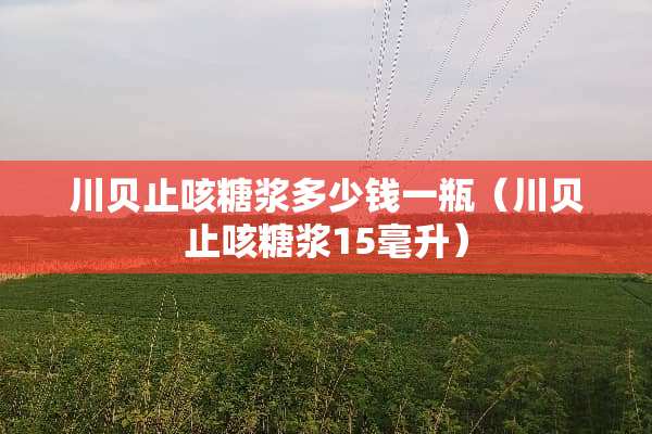 川贝止咳糖浆多少钱一瓶（川贝止咳糖浆15毫升）