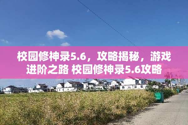 校园修神录5.6，攻略揭秘，游戏进阶之路 校园修神录5.6攻略