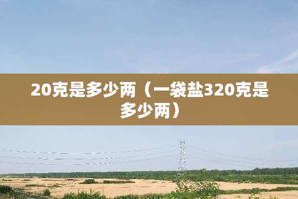 20克是多少两（一袋盐320克是多少两）