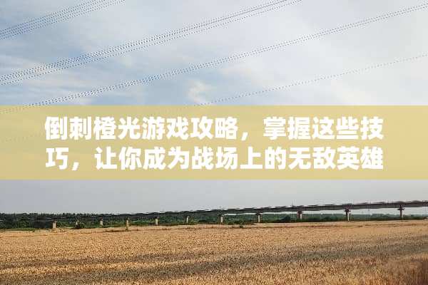 倒刺橙光游戏攻略，掌握这些技巧，让你成为战场上的无敌英雄 倒刺橙光游戏攻略