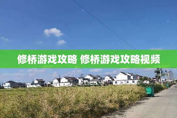 修桥游戏攻略 修桥游戏攻略视频