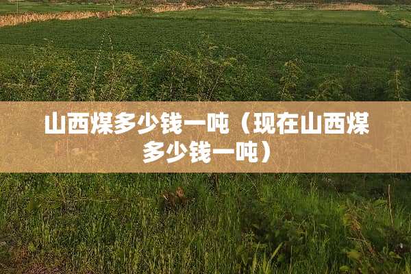 山西煤多少钱一吨（现在山西煤多少钱一吨）