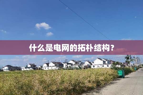 什么是电网的拓朴结构？