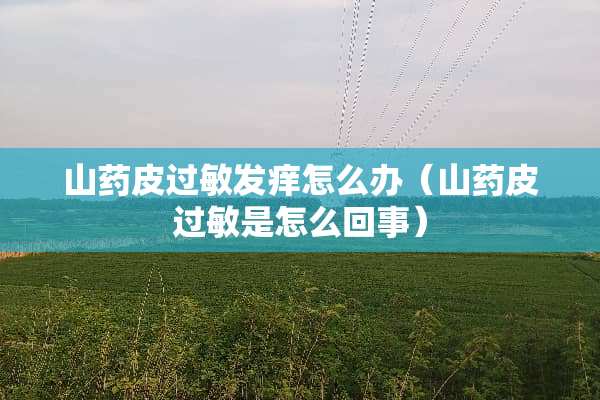 山药皮过敏发痒怎么办（山药皮过敏是怎么回事）