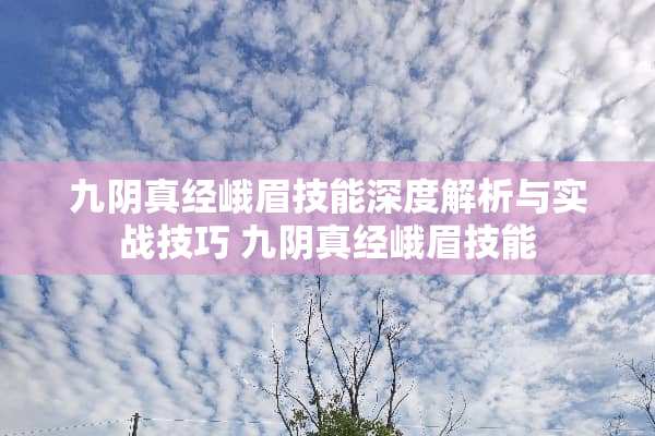 九阴真经峨眉技能深度解析与实战技巧 九阴真经峨眉技能